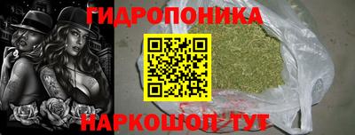 PSILOCYBIN Бердск