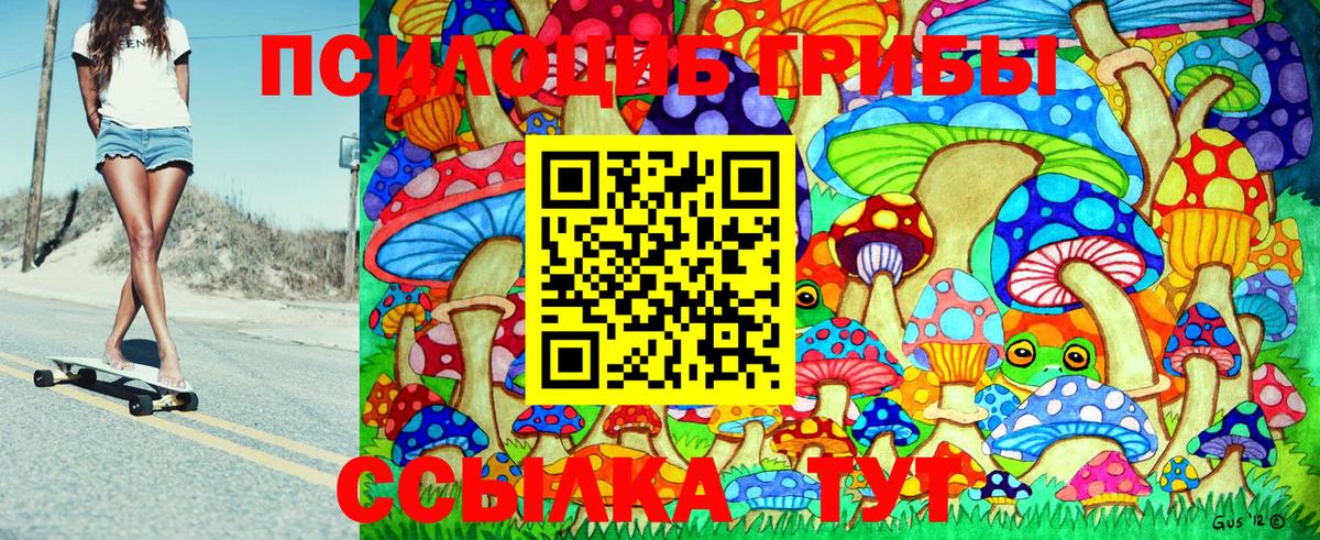 Аша  Псилоцибиновые грибы GOLDEN TEACHER  где купить наркоту  Псилоцибиновые грибы прущие грибы  Вход с VPN 